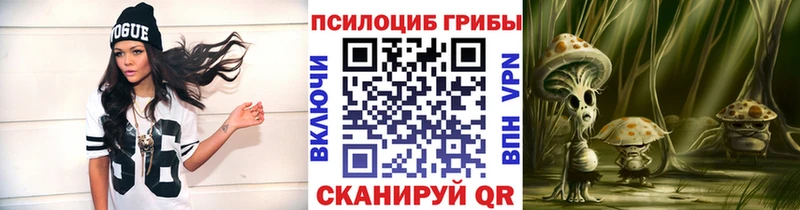 Галлюциногенные грибы Psilocybe  Купить где  Абдулино 